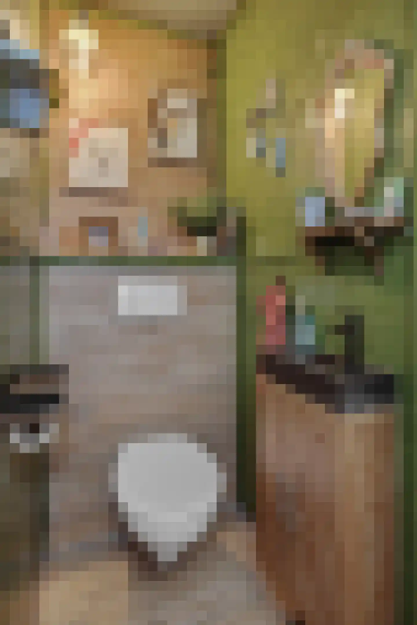 Vlasmeersestraat 12 Vught thumbnail 17