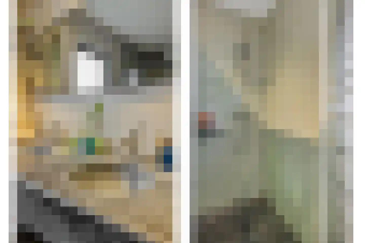 Vlasmeersestraat 12 Vught thumbnail 20