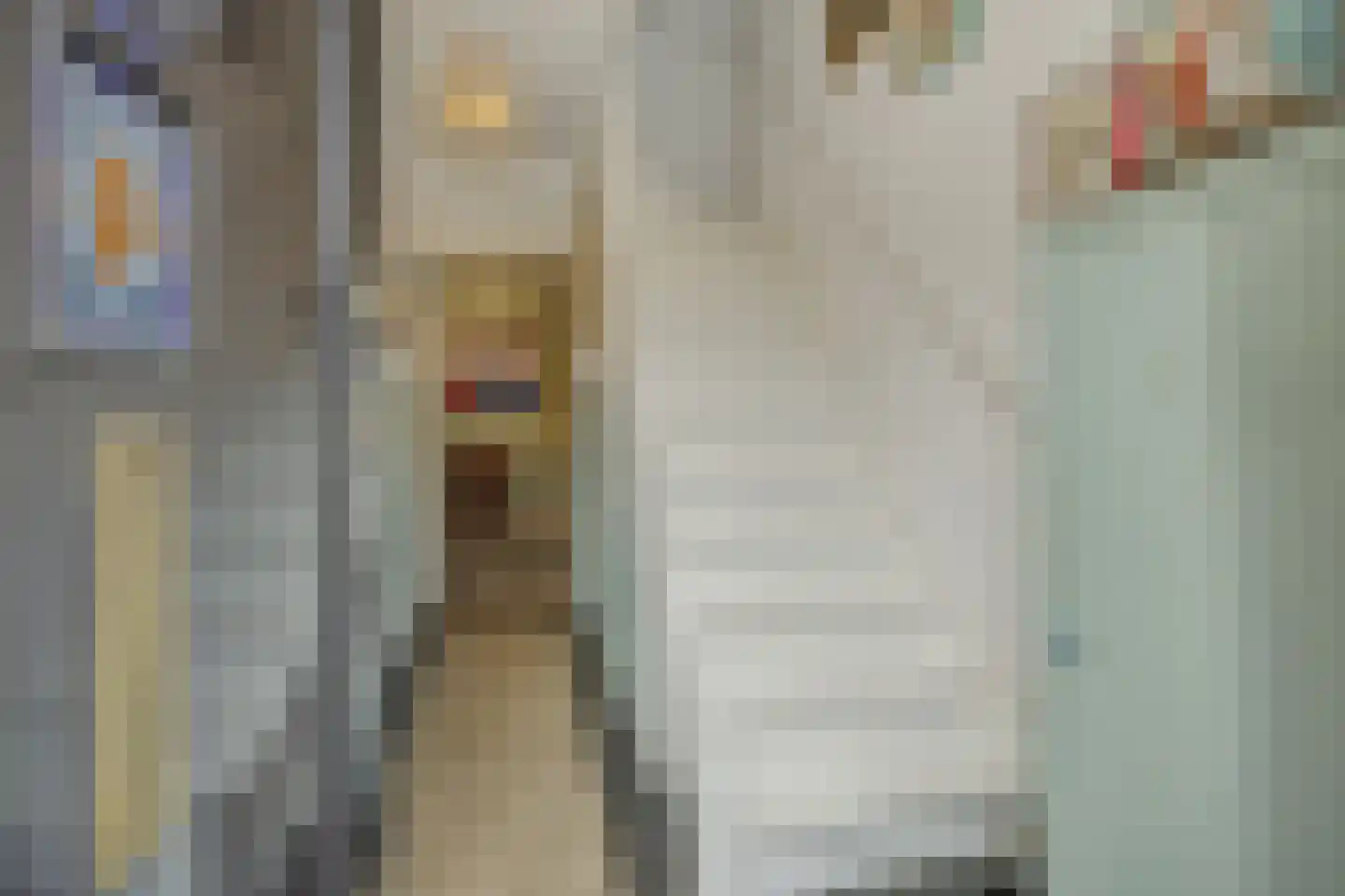 Vlasmeersestraat 12 Vught thumbnail 22