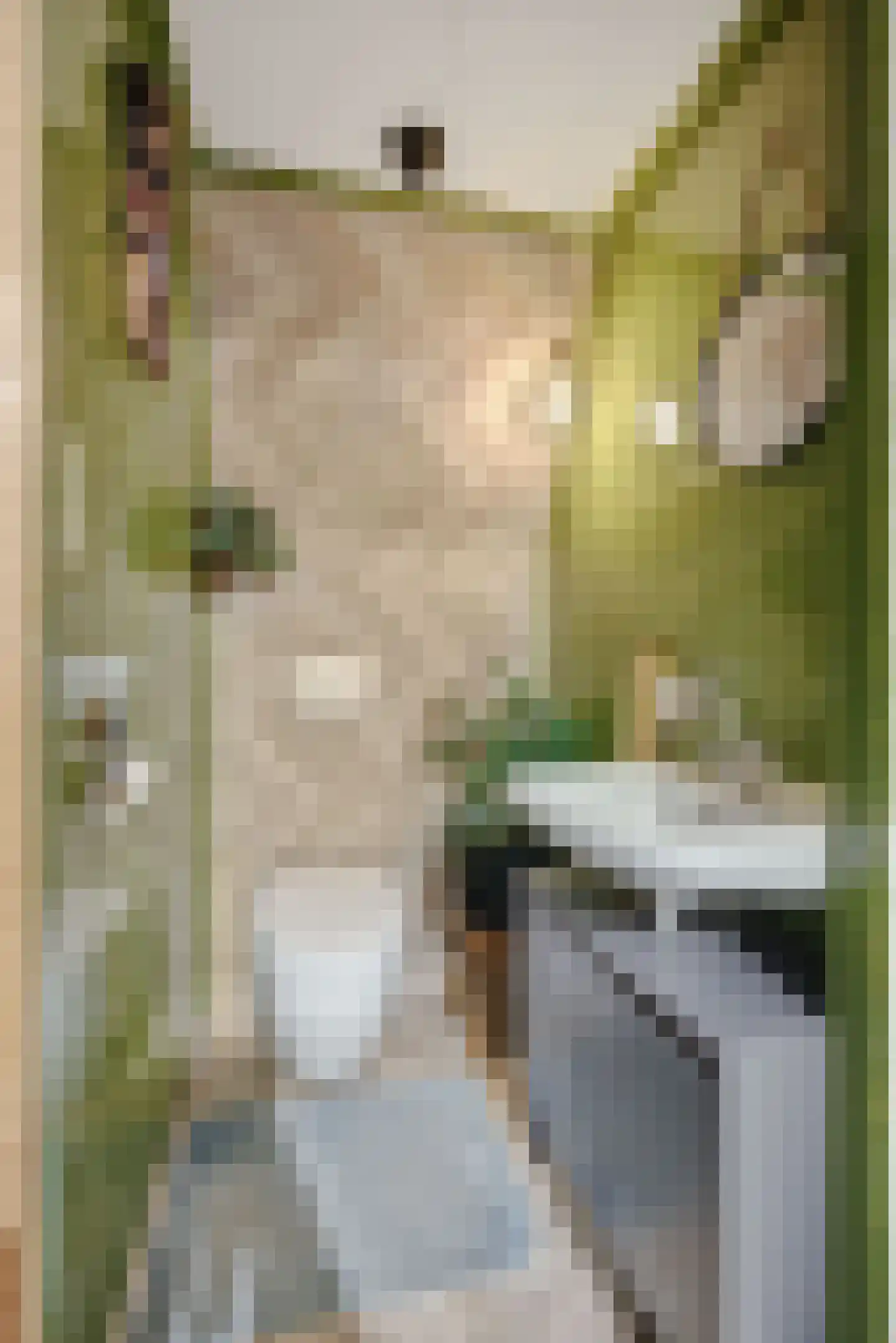 Vlasmeersestraat 12 Vught thumbnail 27