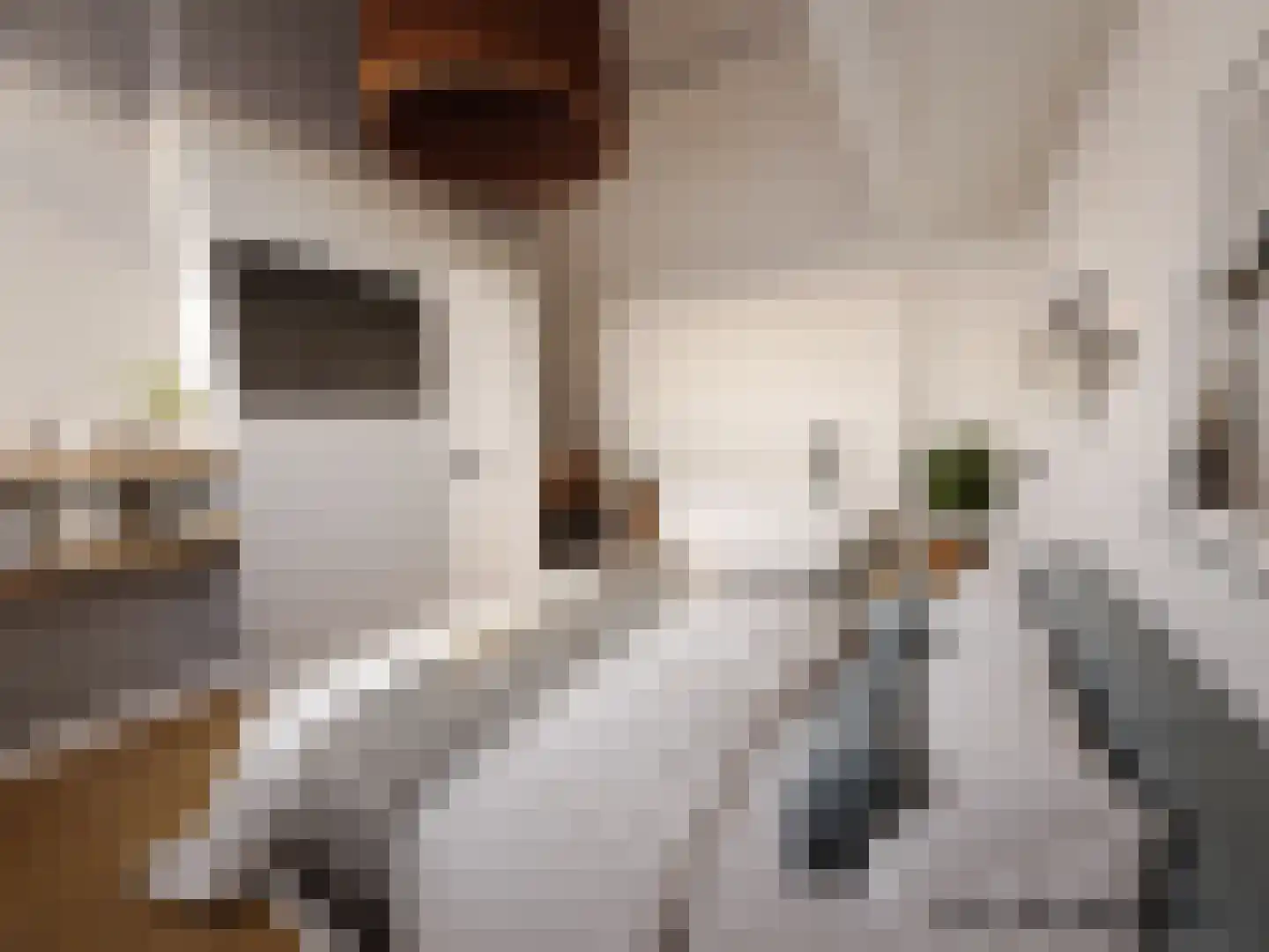Vlasmeersestraat 12 Vught thumbnail 37