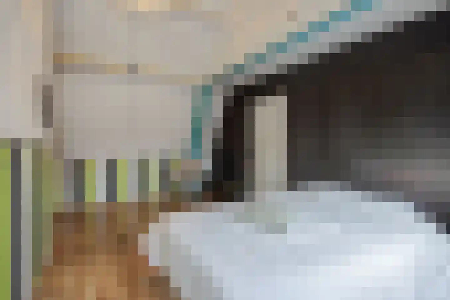 Vlasmeersestraat 12 Vught thumbnail 38