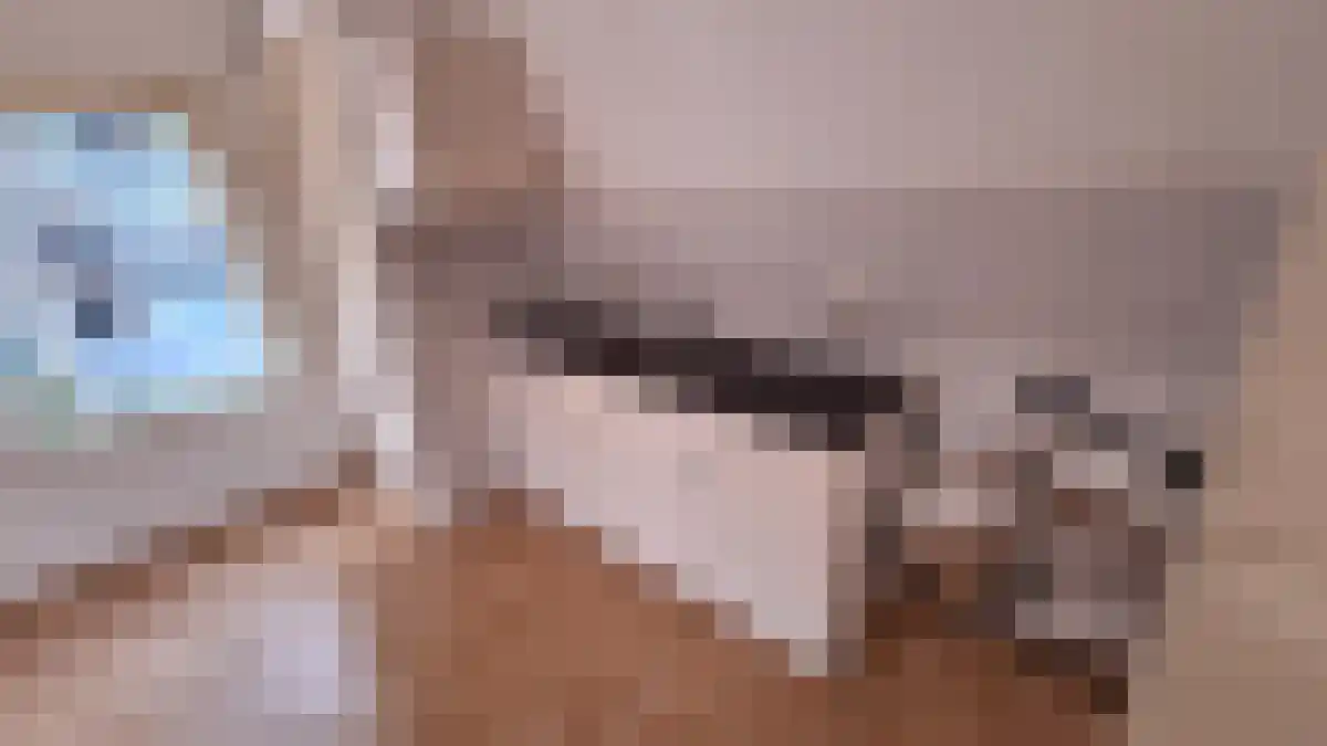 Vlasmeersestraat 49 Vught thumbnail 5