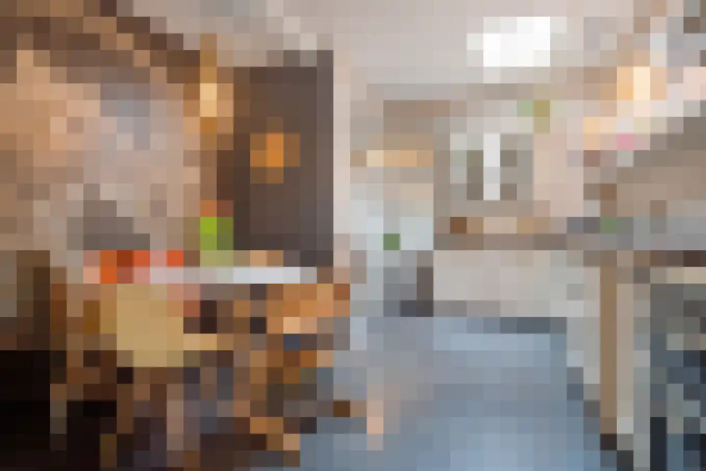 Vlasmeersestraat 51 Vught thumbnail 17