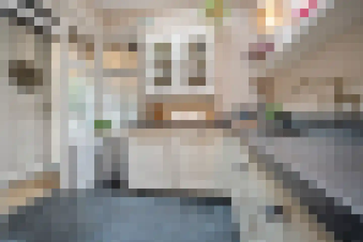 Vlasmeersestraat 51 Vught thumbnail 18