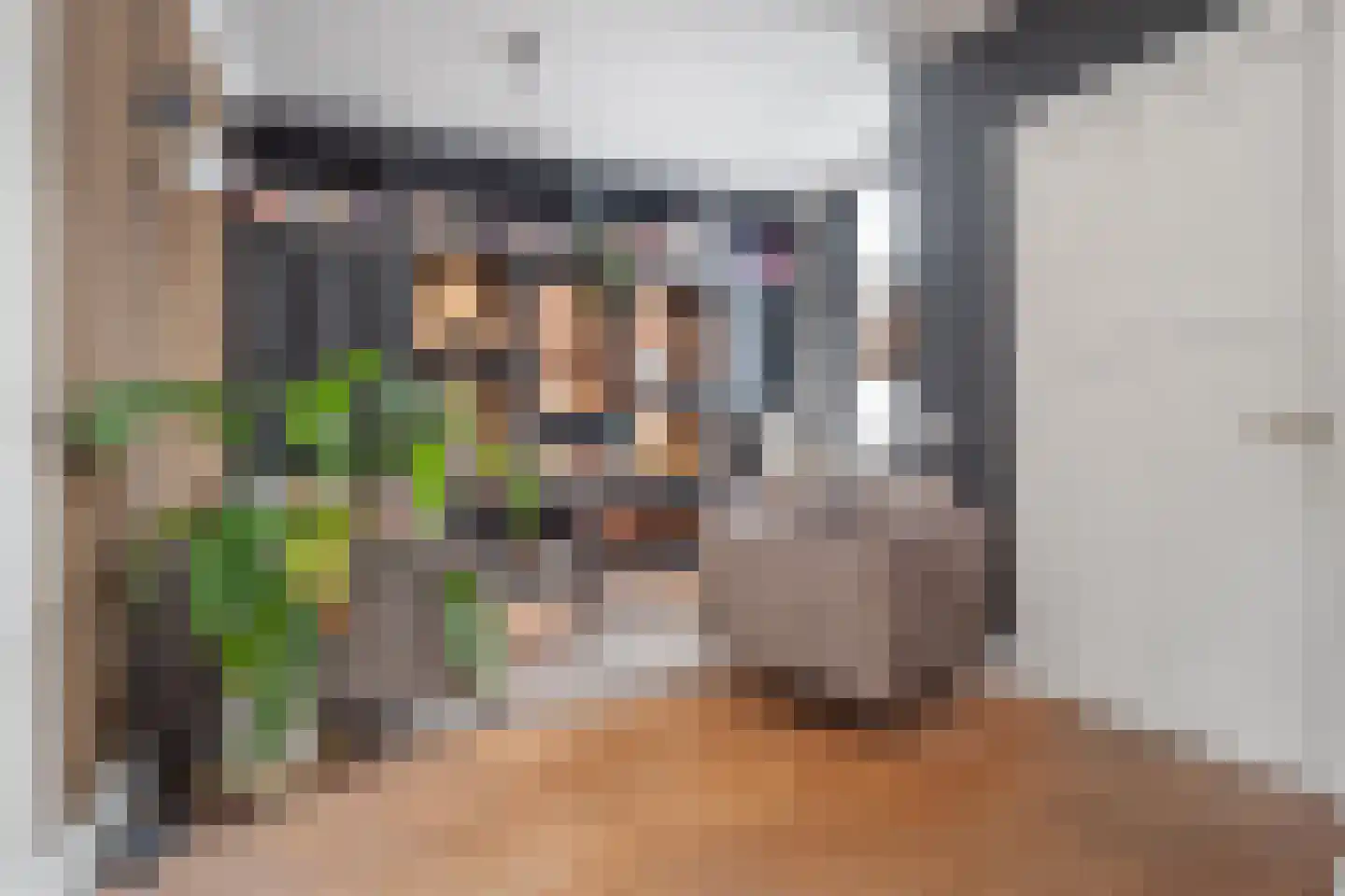 Vlasmeersestraat 51 Vught thumbnail 5