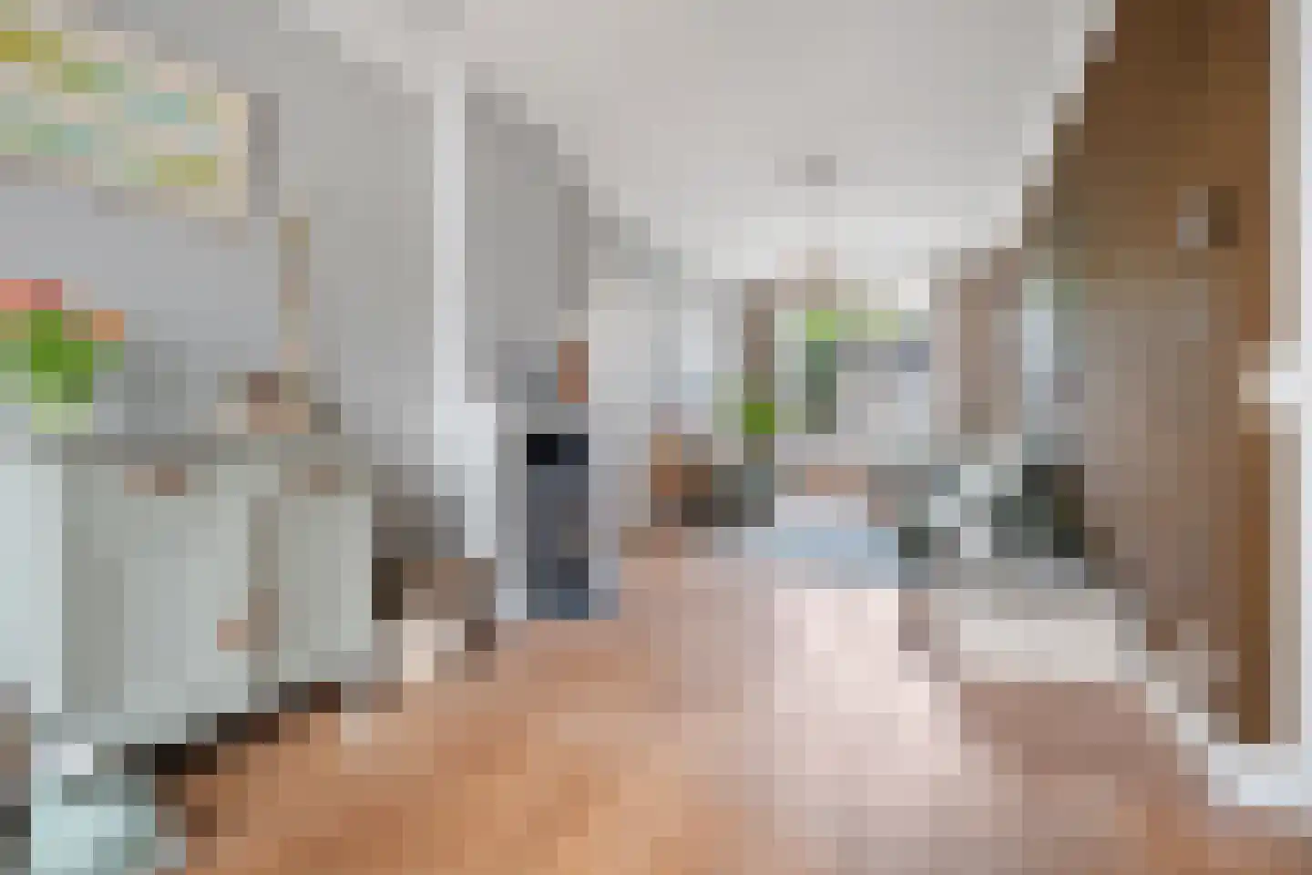 Vlasmeersestraat 51 Vught thumbnail 8