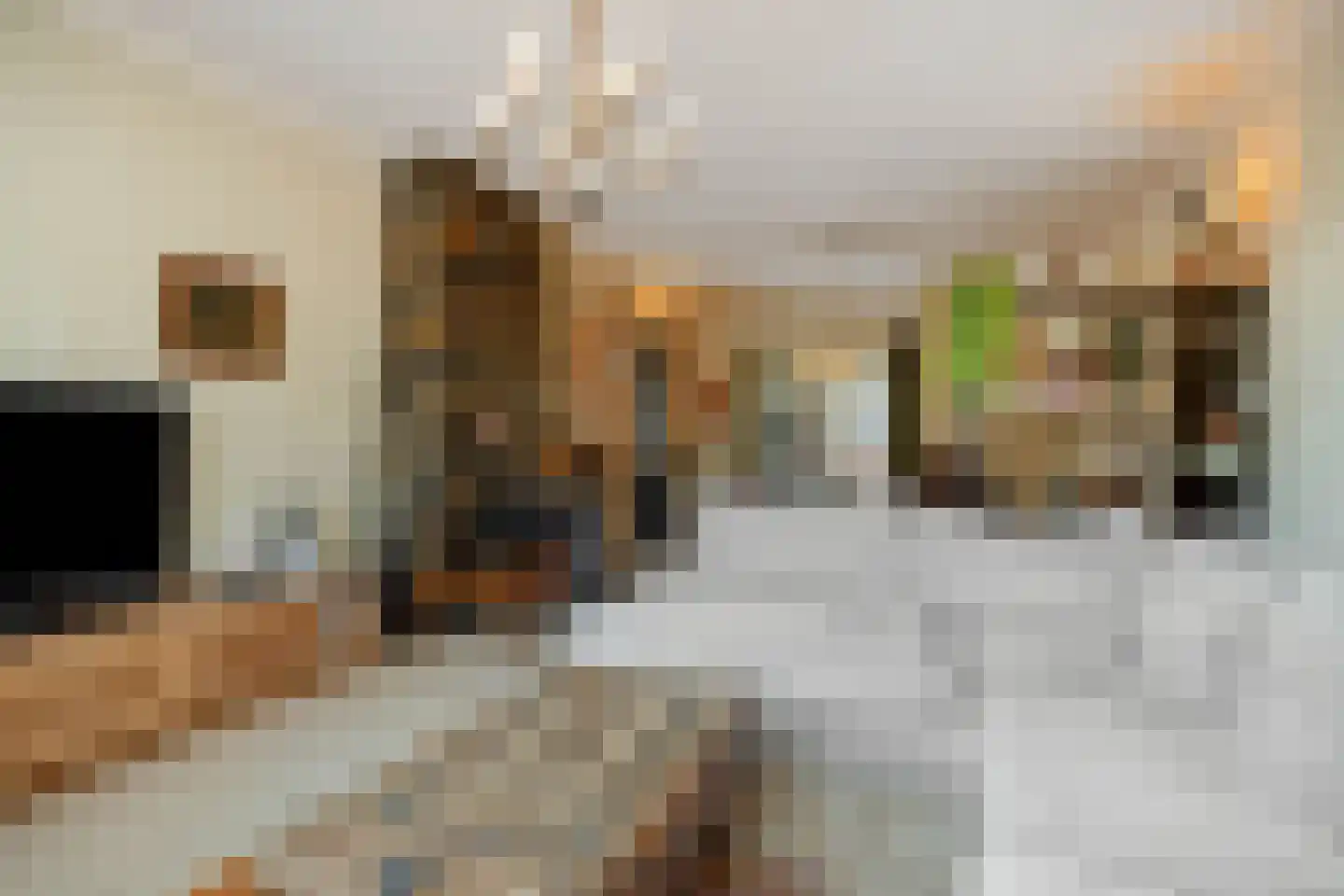 Vlasmeersestraat 53 Vught thumbnail 5