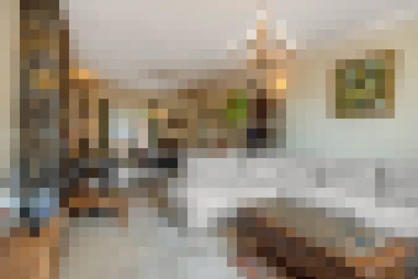 Vlasmeersestraat 53 Vught thumbnail 6