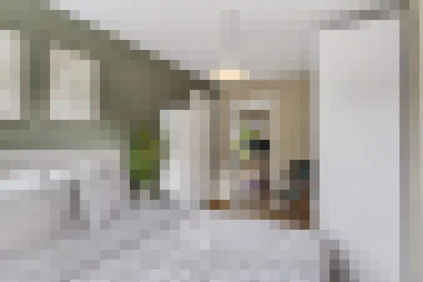 Vlasmeersestraat 67 Vught thumbnail 23