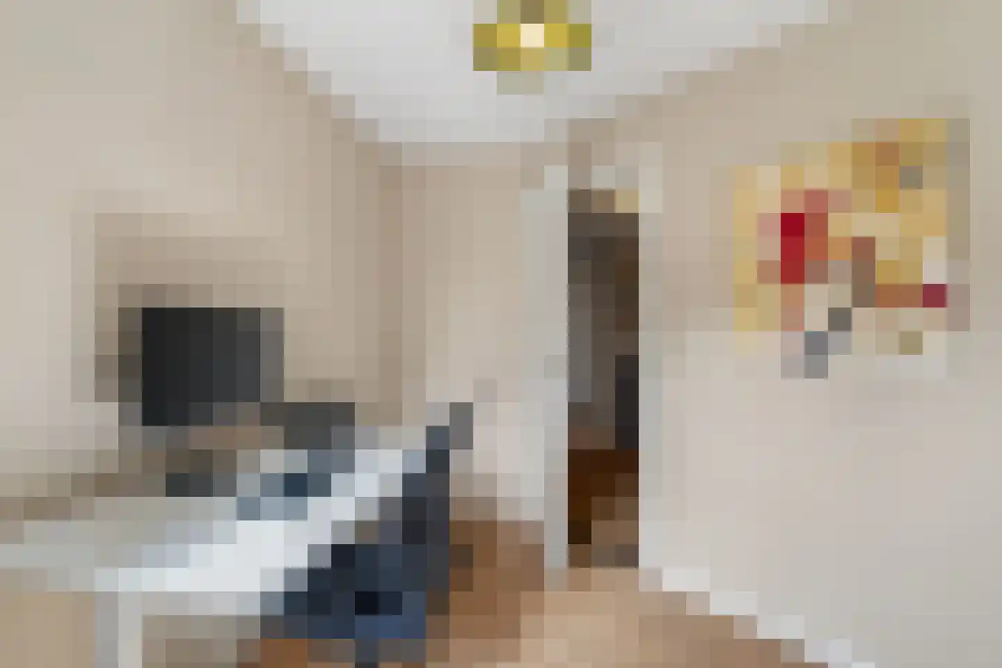 Vlasmeersestraat 67 Vught thumbnail 29