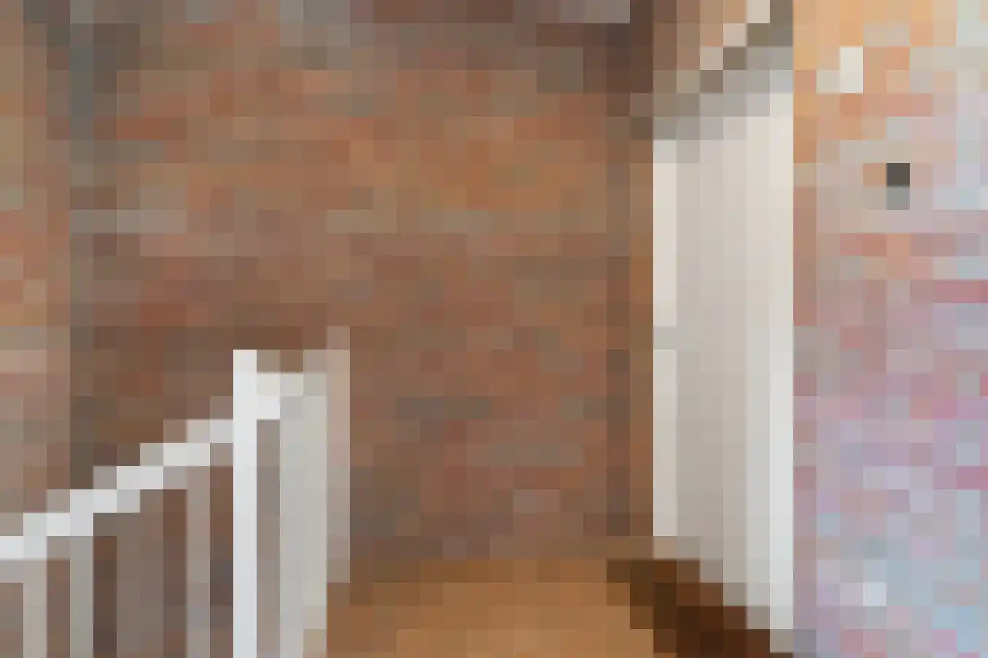 Vlasmeersestraat 67 Vught thumbnail 31
