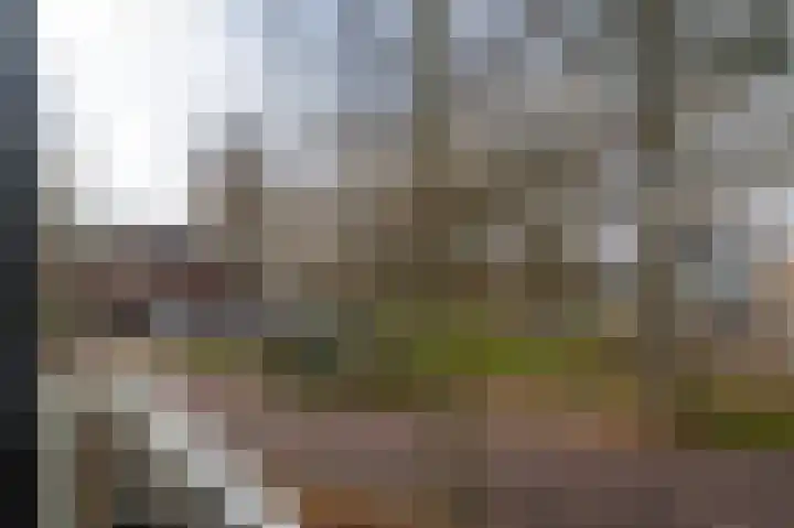 Vlasmeersestraat 69 Vught thumbnail 11