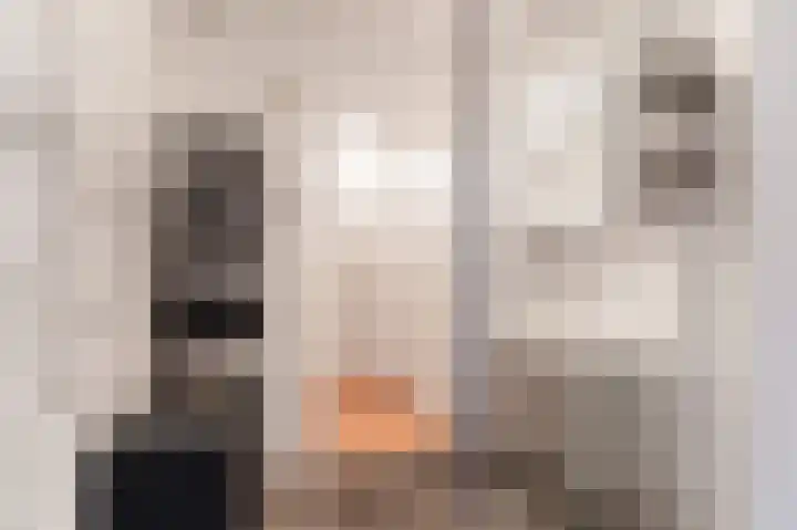 Vlasmeersestraat 69 Vught thumbnail 17