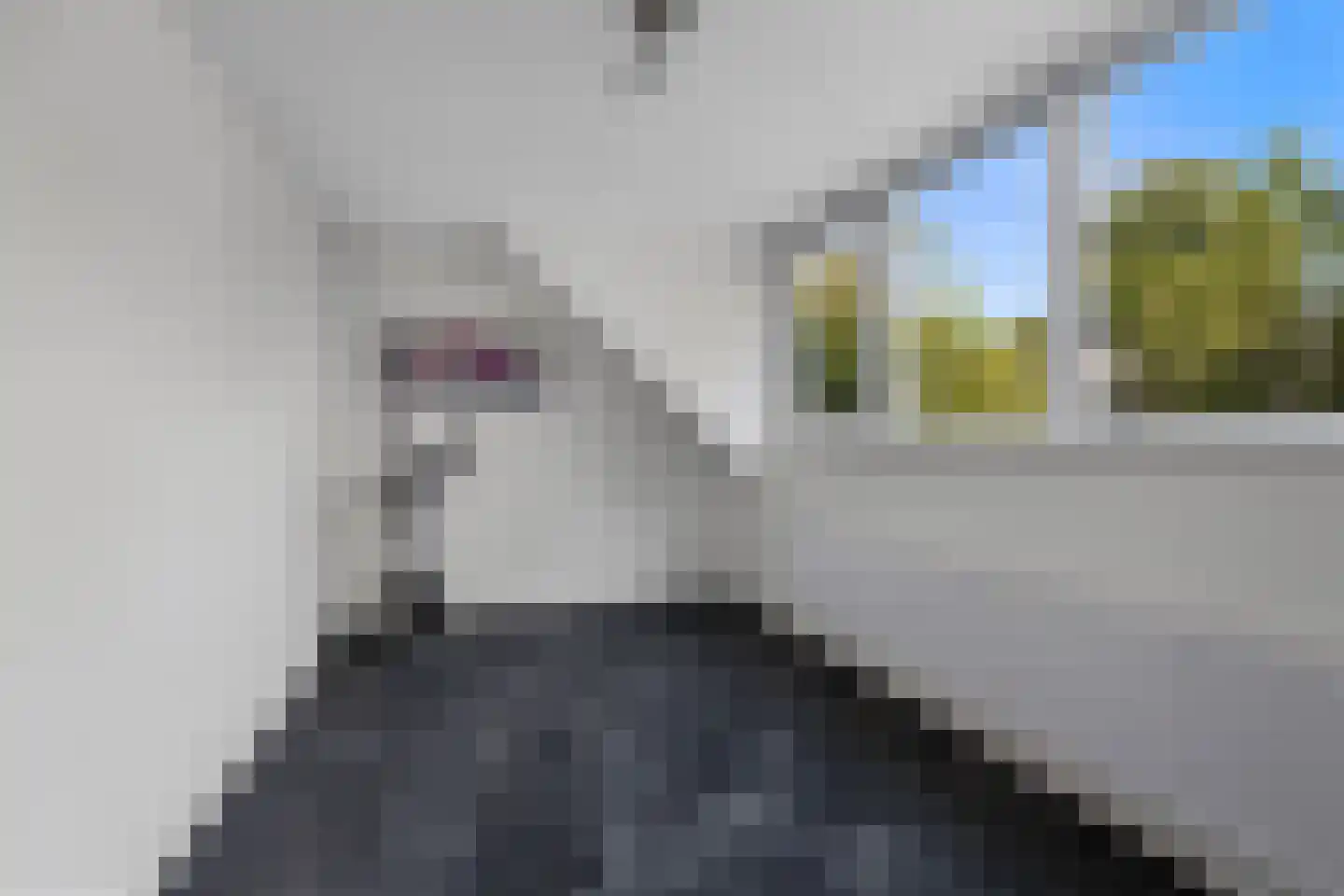 Vlasmeersestraat 82 Vught thumbnail 23