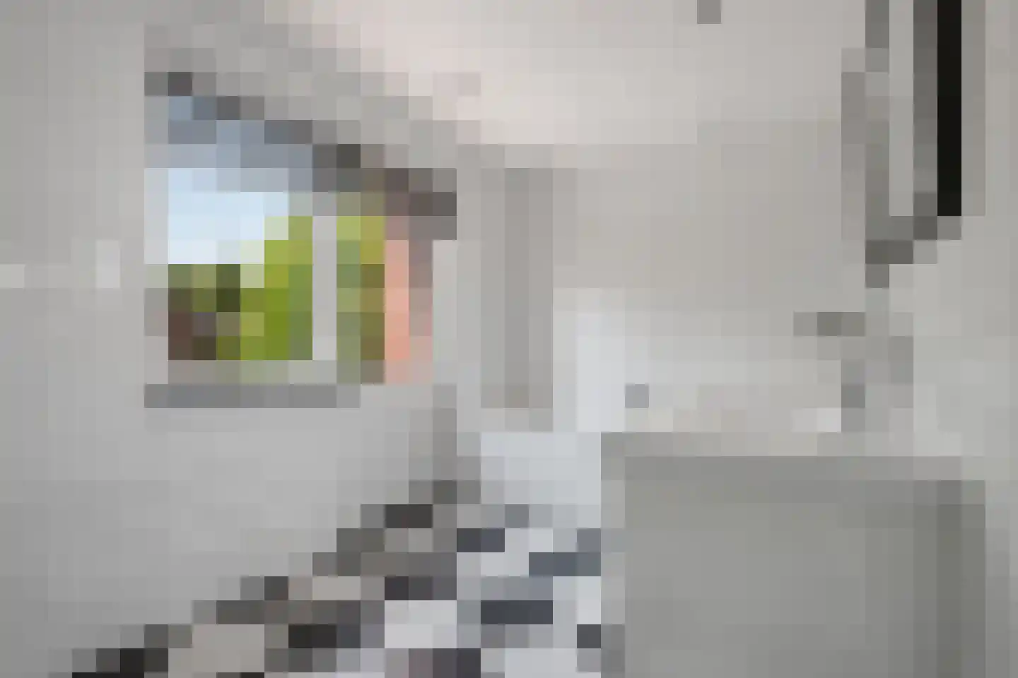 Vlasmeersestraat 82 Vught thumbnail 25