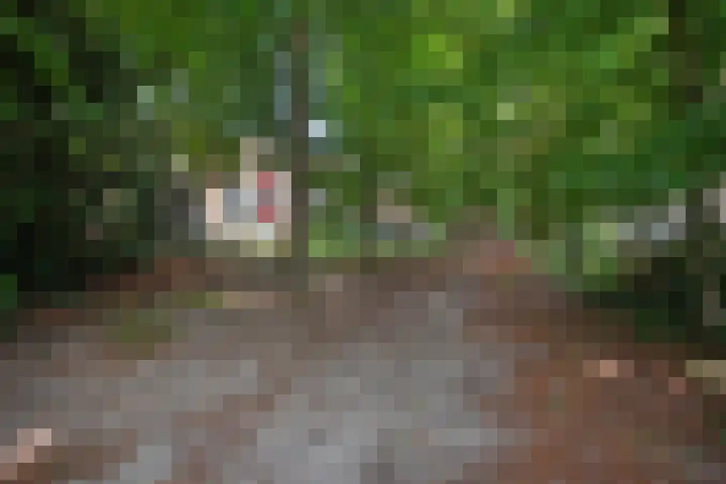 Vlasmeersestraat 82 Vught thumbnail 48