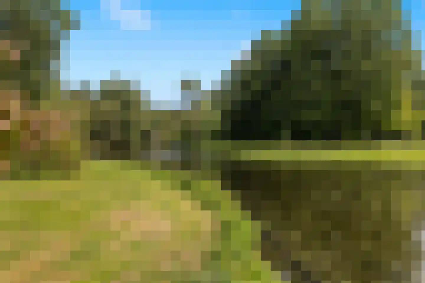 Vlasmeersestraat 82 Vught thumbnail 49