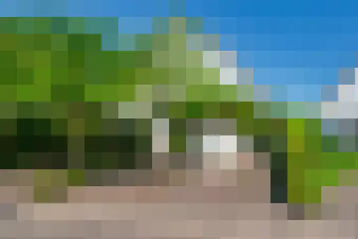 Vlasoever 32 Maasdam thumbnail 10