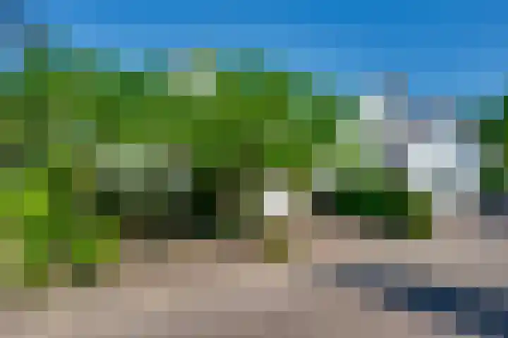 Vlasoever 32 Maasdam thumbnail 11