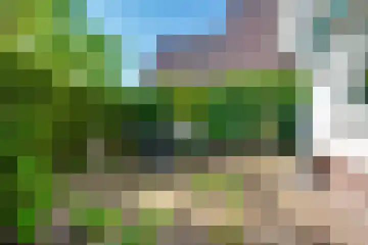 Vlasoever 32 Maasdam thumbnail 13