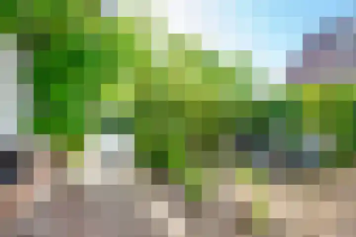 Vlasoever 32 Maasdam thumbnail 14