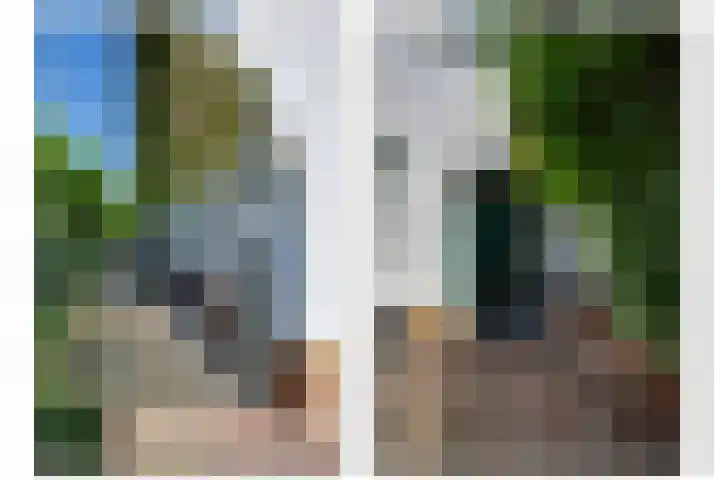 Vlasoever 32 Maasdam thumbnail 15
