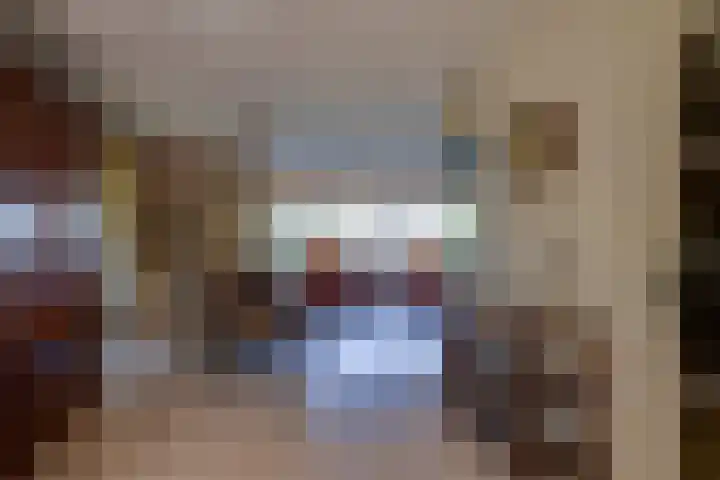 Vlasoever 32 Maasdam thumbnail 19