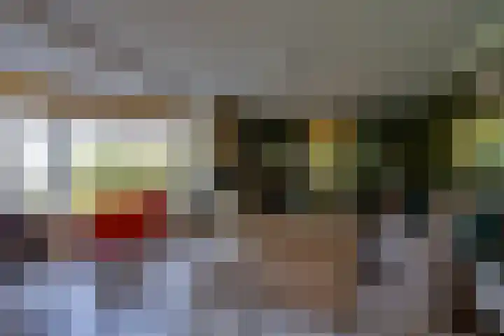 Vlasoever 32 Maasdam thumbnail 20
