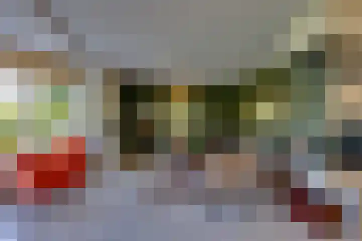 Vlasoever 32 Maasdam thumbnail 21
