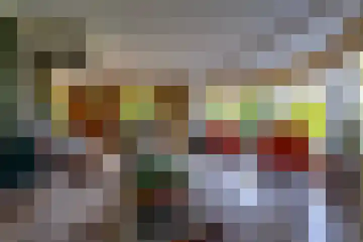 Vlasoever 32 Maasdam thumbnail 22