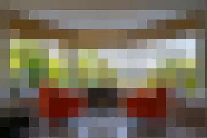 Vlasoever 32 Maasdam thumbnail 23