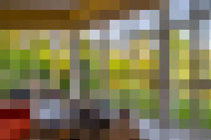 Vlasoever 32 Maasdam thumbnail 24