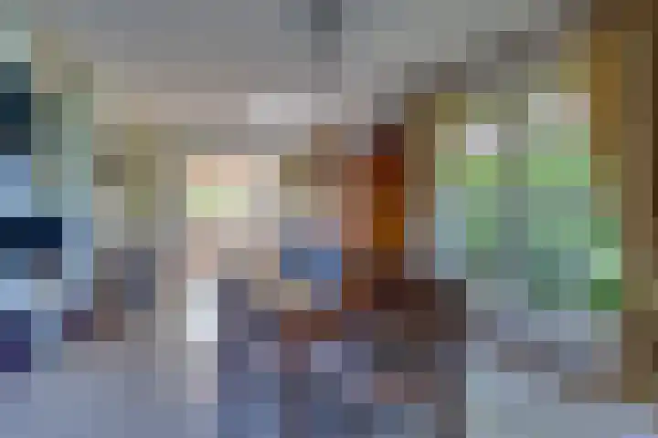 Vlasoever 32 Maasdam thumbnail 26
