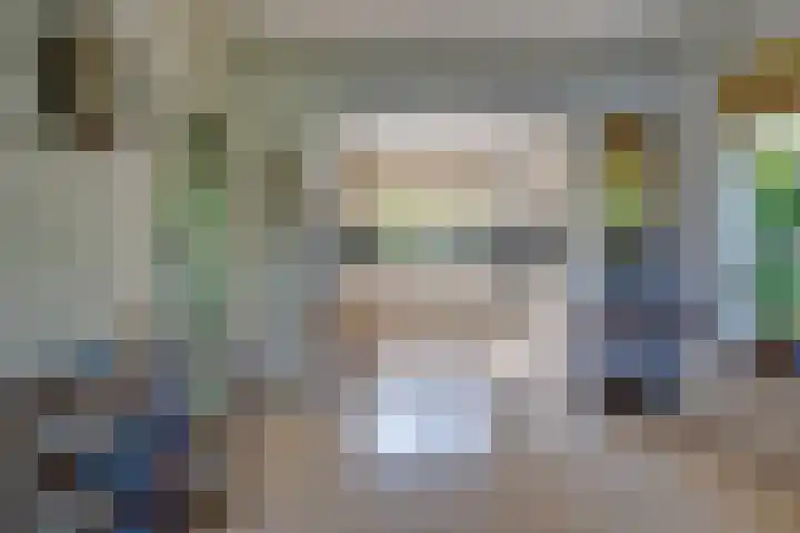 Vlasoever 32 Maasdam thumbnail 27