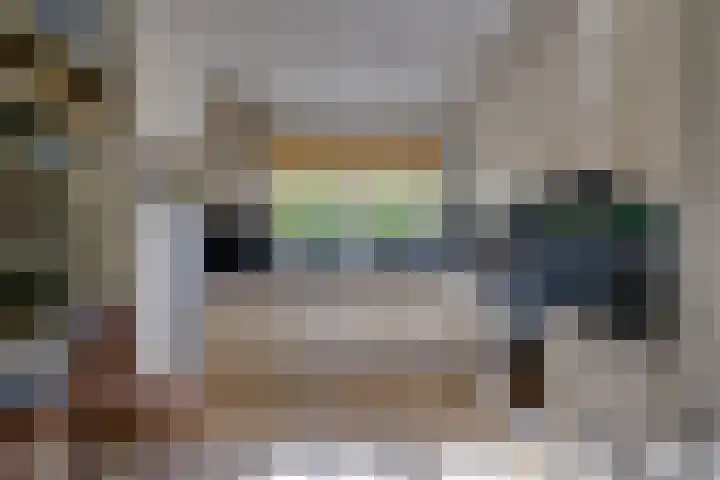 Vlasoever 32 Maasdam thumbnail 28