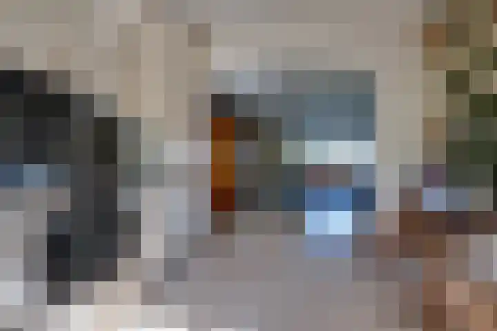 Vlasoever 32 Maasdam thumbnail 29