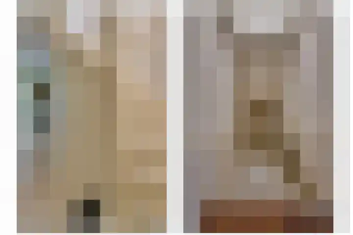 Vlasoever 32 Maasdam thumbnail 31