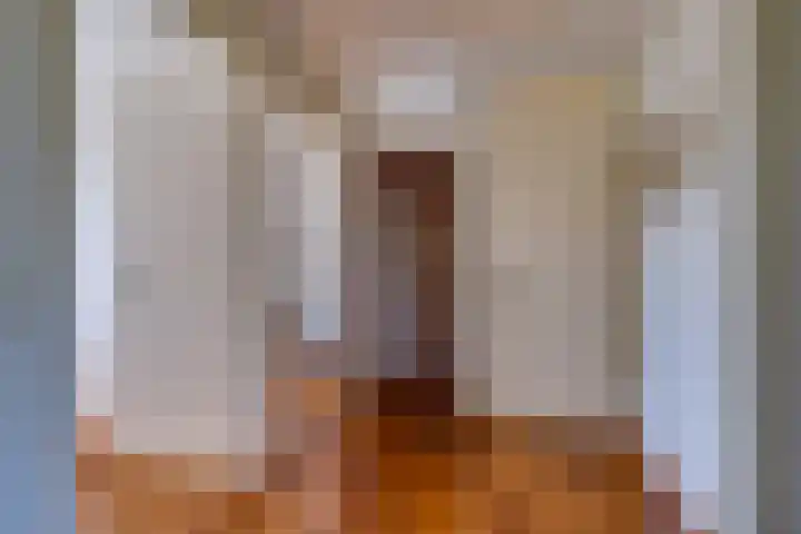 Vlasoever 32 Maasdam thumbnail 32