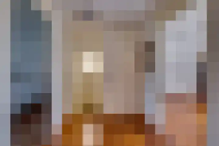 Vlasoever 32 Maasdam thumbnail 33