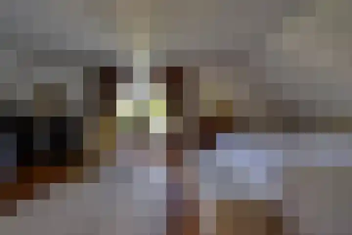 Vlasoever 32 Maasdam thumbnail 34