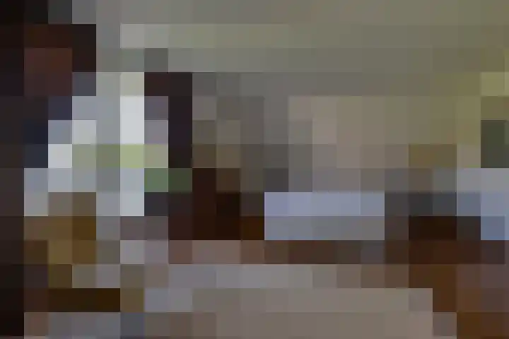Vlasoever 32 Maasdam thumbnail 35