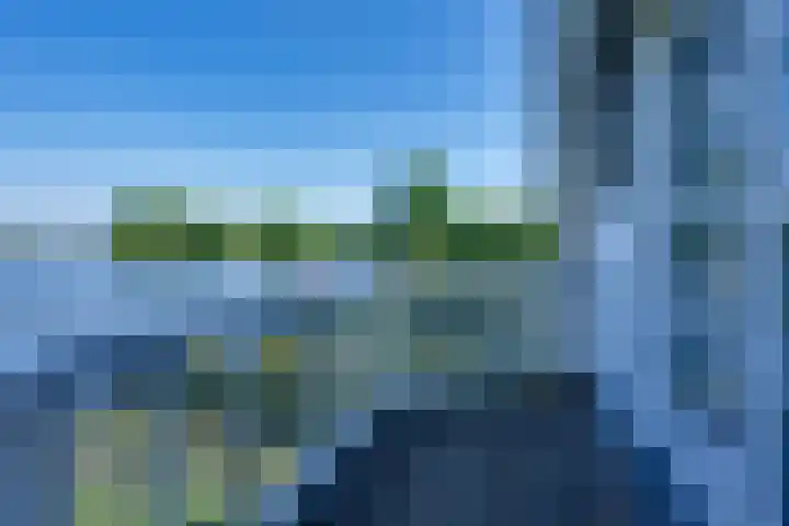 Vlasoever 32 Maasdam thumbnail 37