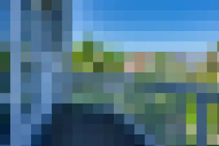 Vlasoever 32 Maasdam thumbnail 38