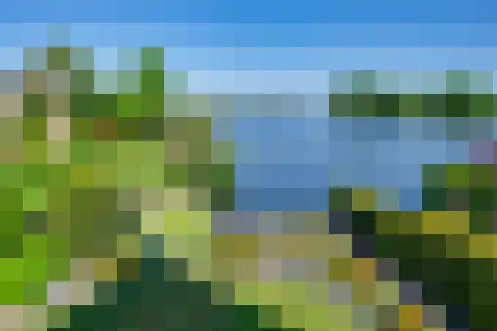 Vlasoever 32 Maasdam thumbnail 39