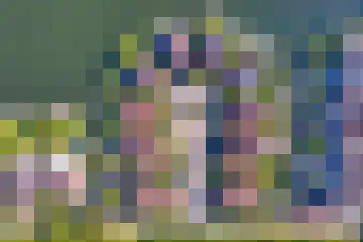 Vlasoever 32 Maasdam thumbnail 4