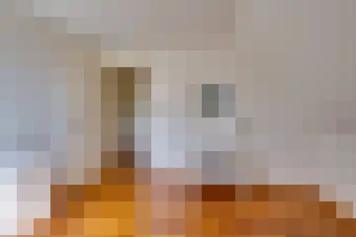 Vlasoever 32 Maasdam thumbnail 41