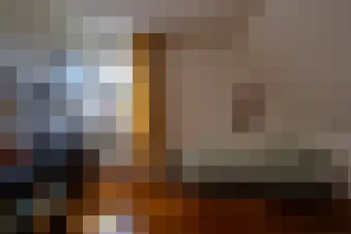 Vlasoever 32 Maasdam thumbnail 43