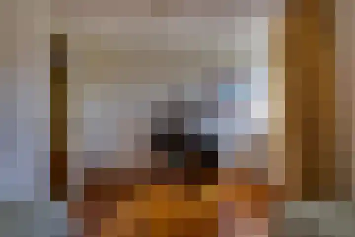 Vlasoever 32 Maasdam thumbnail 45