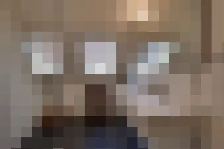 Vlasoever 32 Maasdam thumbnail 46